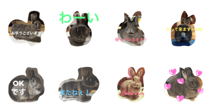 rabbit rabbit rabbit rabbit rabbit rabbi rabbit rabbit rabbit rabbit rabbit rabbi