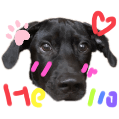 嘟嘟日常貼圖～