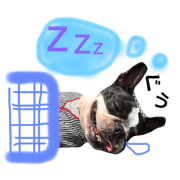 A sticker of a picture of the dog[3]