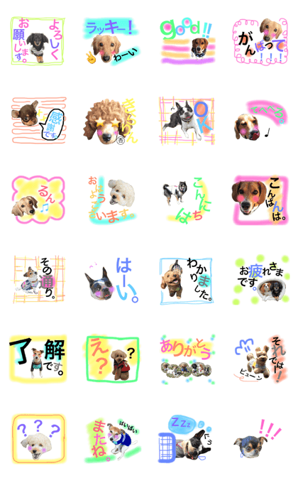 A sticker of a picture of the dog[3]