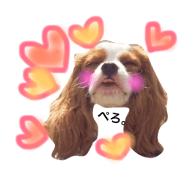 A sticker of a picture of the dog[2]