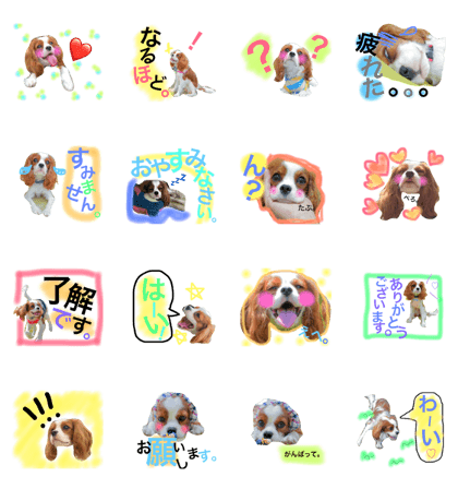 A sticker of a picture of the dog[2]