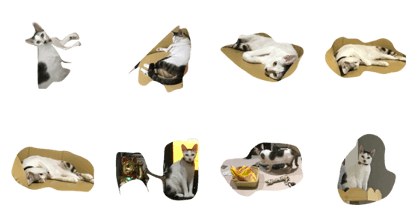 cat cat cat cat cat haha cat cat cat cat cat haha