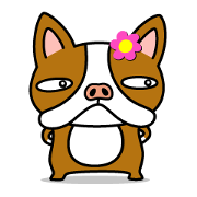 That's bullmi.Huh? That's bullmi.Huh?