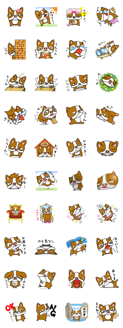 That's bullmi.Huh? That's bullmi.Huh?