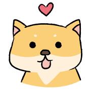 Chai P 's daily life (shiba inu) Chai P 's daily life (shiba inu)