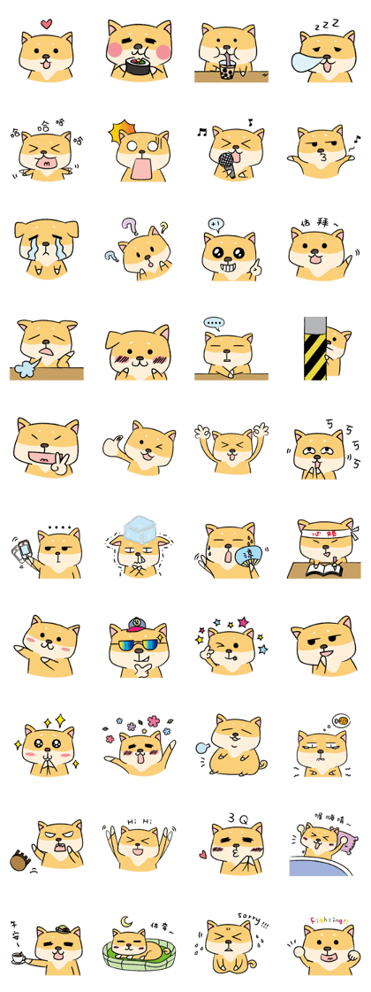 Chai P 's daily life (shiba inu) Chai P 's daily life (shiba inu)