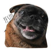 Cafe&Shiraz Cafe&Shiraz