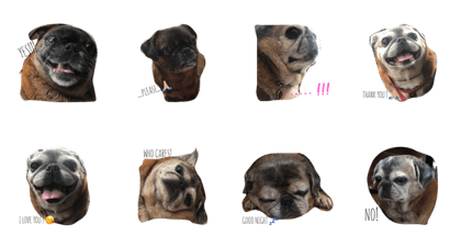 Cafe&Shiraz Cafe&Shiraz