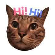 Dudu~cat style! Dudu~cat style!