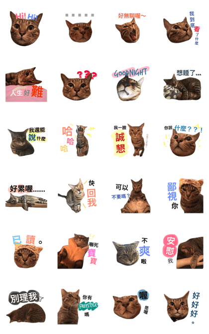 Dudu~cat style! Dudu~cat style!