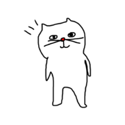 crazy caaaaat crazy caaaaat