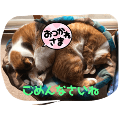 akiko_20210804212415