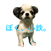 kotethukun kotethukun