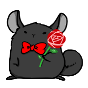 Chinchilla komyojin2 Chinchilla komyojin2