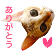 Singapura YUKICHI Singapura YUKICHI