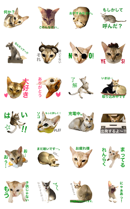 Singapura YUKICHI Singapura YUKICHI