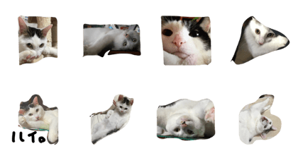 myamyamirio myamyamirio