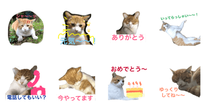 Kichi-nyan-part4 Kichi-nyan-part4