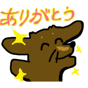 Daily life of the chokotan ! Daily life of the chokotan !