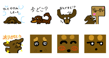 Daily life of the chokotan ! Daily life of the chokotan !