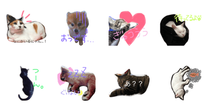 kuriharafamily kuriharafamily