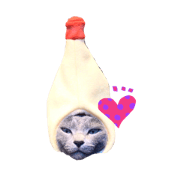 with totto! with totto!