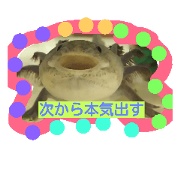 Mexicosalamander love