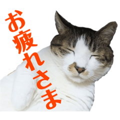 puku_20210804233735