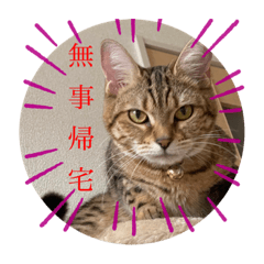 yuka_20210805000033