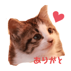 Tomomi_20210804192505