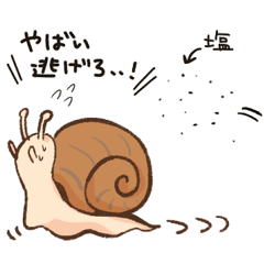 Snail by yuming