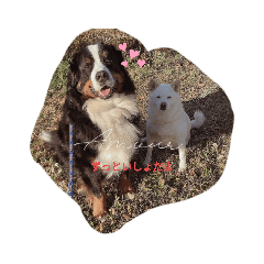 cocoa_20210804192103