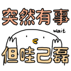 這裡有好多鴨鴨2（超實用款）