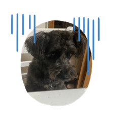 puku_20210804222237