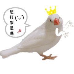咪勾可可愛愛