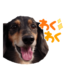 asuka_20210805002044