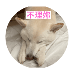 Emily_20210804164027