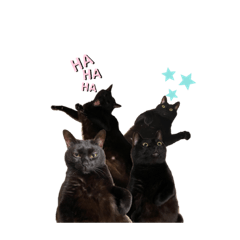 yamada_20210805003911