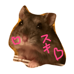 hamster my LIFE