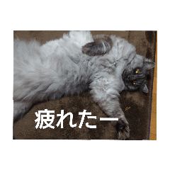 asuka_20210805005052