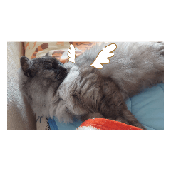 asuka_20210805013914