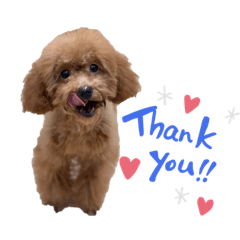 mizuki_20210805012727