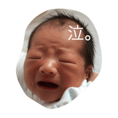 はると あおい 2