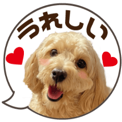 Move! Dog Maru-chan, balloon