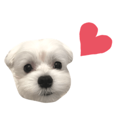 Mimi_20210805134129