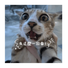 我的名字是lucky