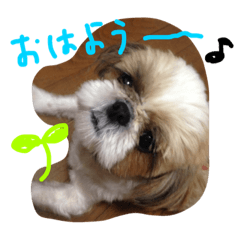 happy spring day – LINE stickers | LINE STORE