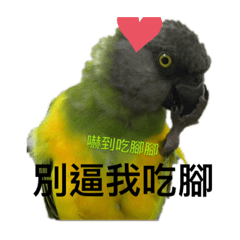 寶寶球球乖乖多多