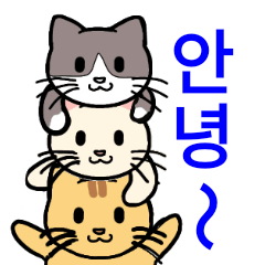 Cheerful cats (Korea)